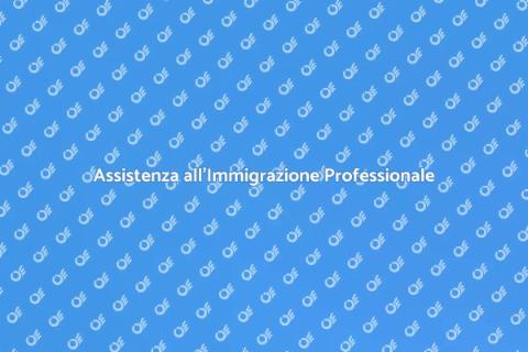 Supporto all'Immigrazione Efficace