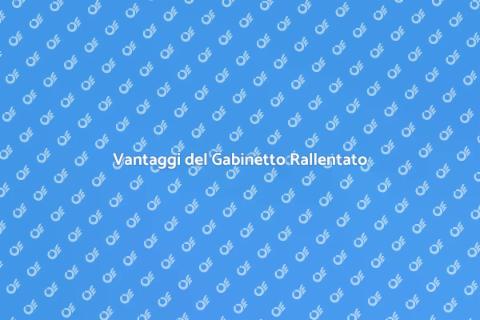 Gabinetto con Chiusura Rallentata