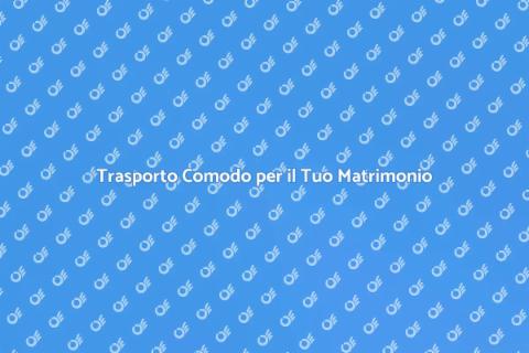 Noleggio Minibus per Matrimoni