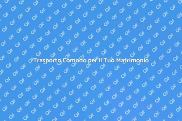 Minibus per Matrimonio: Comfort e Stile
