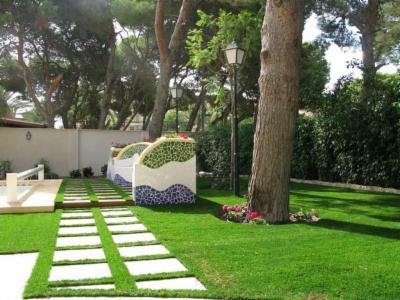 Creoverde  - Foto 3