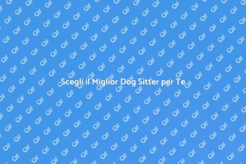 Dog Sitter Professionale per il Tuo Amico