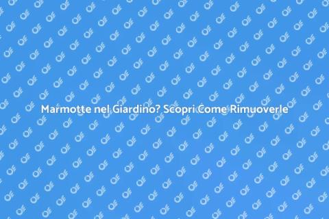 Rimozione Marmotte: Proteggi il Tuo Giardino
