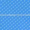 Guida alla Manutenzione dei Condizionatori