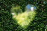 Scegliere il giardiniere perfetto online