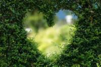 Scegliere il giardiniere perfetto online
