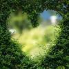 Scegliere il giardiniere perfetto online
