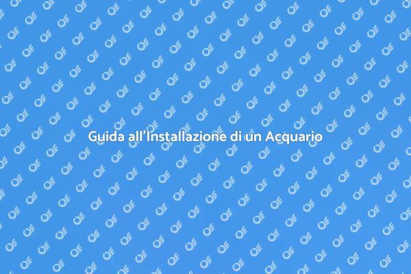 Realizza il Tuo Acquario da Sogno