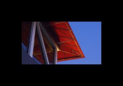 Stiltenda  - Foto 3