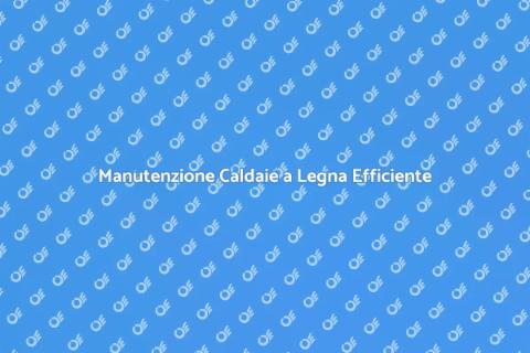 Controllo Efficienza Energetica Caldaie