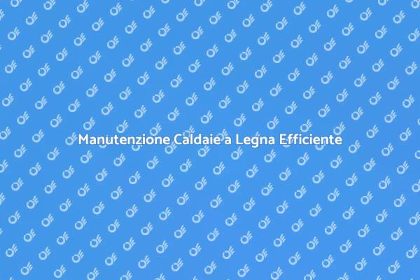 Caldaie a Legna: Controllo Efficiente