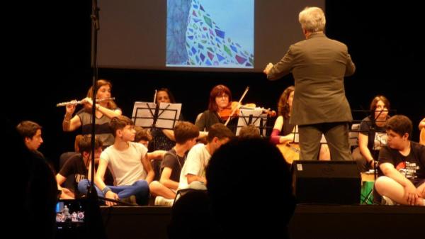Direttore d'Orchestra - Foto 5