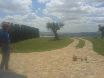 Garden Green  - Foto 5