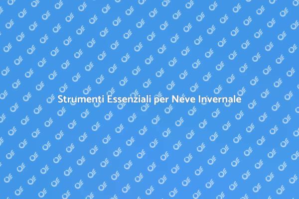 Come Affrontare la Neve Invernale