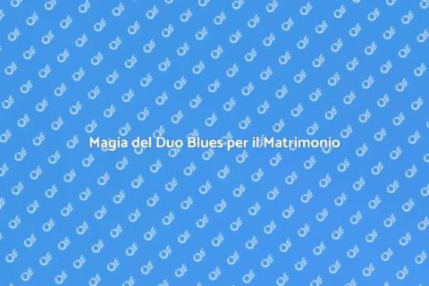Duo Blues per Matrimonio: Magia Musicale