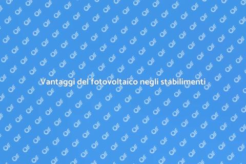 Impianto fotovoltaico per stabilimenti