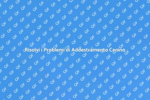 Addestramento Cani: Risolvi i Problemi
