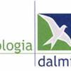 Ecologia Dalmine 