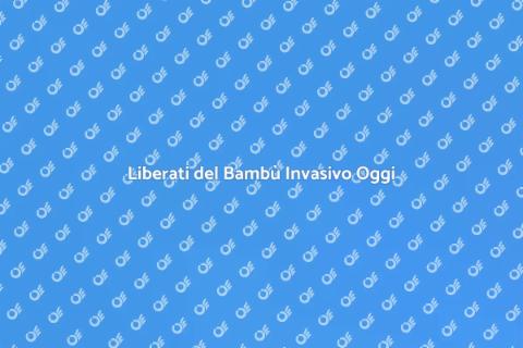 Rimuovere il Bambù: Guida Pratica