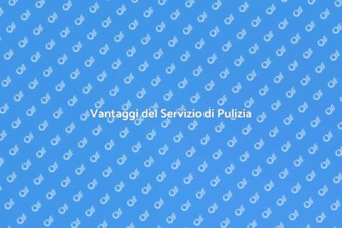 Servizio di Pulizia Professionale