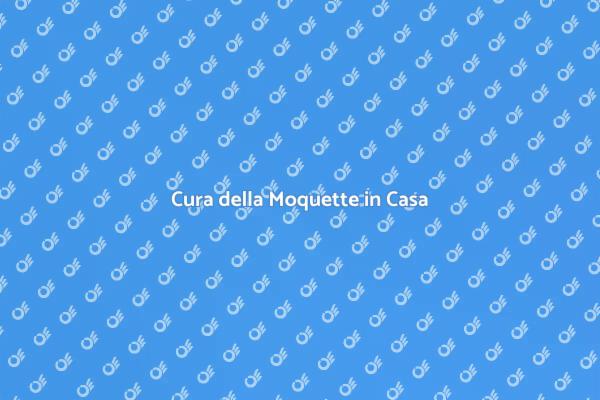 La Pulizia della Moquette Efficace