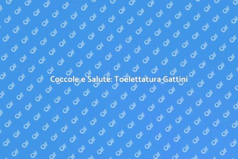 Toelettatura per Gattini e Benessere