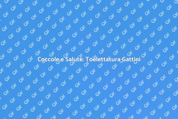 Toelettatura: il Segreto dei Gattini Felici