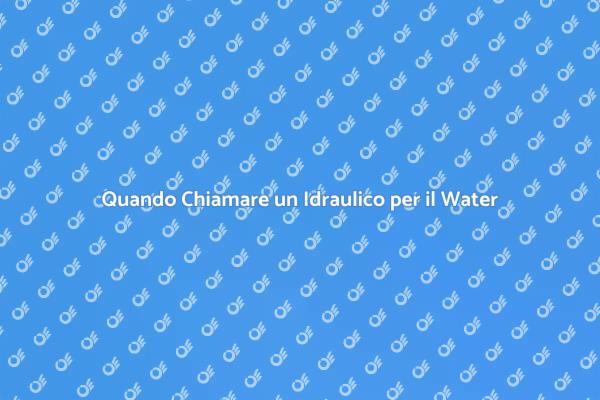 Come Gestire un Water Intasato