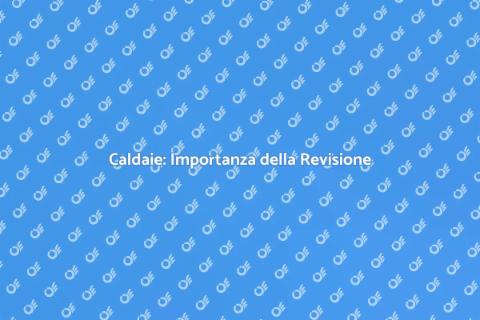 Revisione Caldaie: Sicurezza e Efficienza