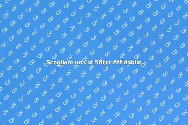 Cat Sitter: Sicurezza per i Gatti in Ferie