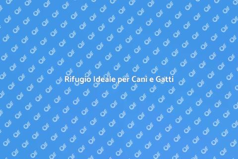 Pensione per Cani e Gatti Sicura