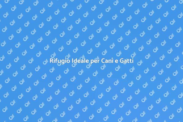 La Migliore Pensione per i Tuoi Animali