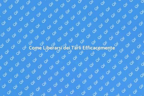 Trattamento Efficace Contro i Tarli