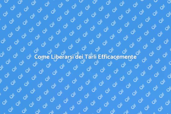 Liberati dei Tarli: Ecco Come Fare