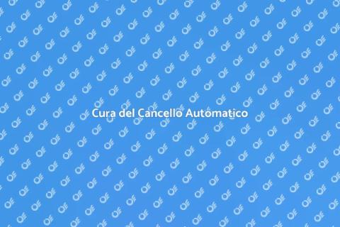 Manutenzione Cancello Automatico