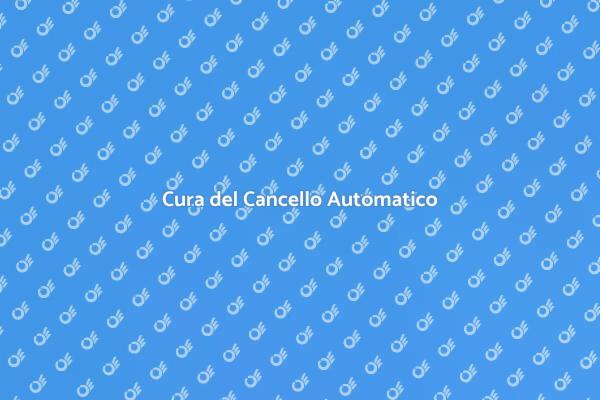 Manutenzione Efficace del Cancello
