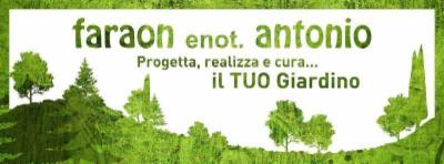 Azienda Florovivaistica Faraon Antonio  - Foto 2