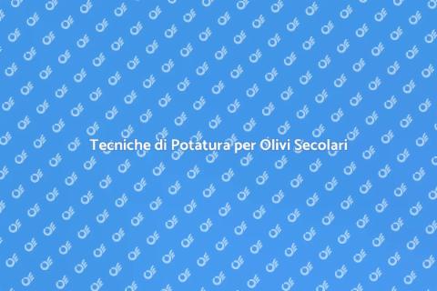 Potatura Olivi Secolari: Guida Pratica