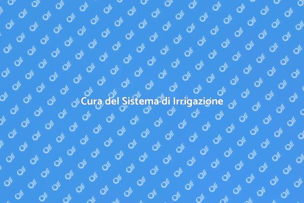 Manutenzione Efficace dell'Irrigazione