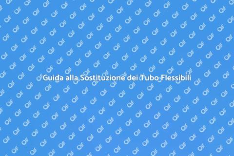 Sostituzione Tubo Flessibili Guida
