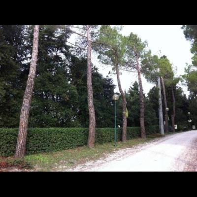 Groupservice  - Foto 5