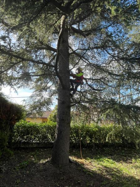 Arbor Climbing di Rocco Lodise - Foto 12