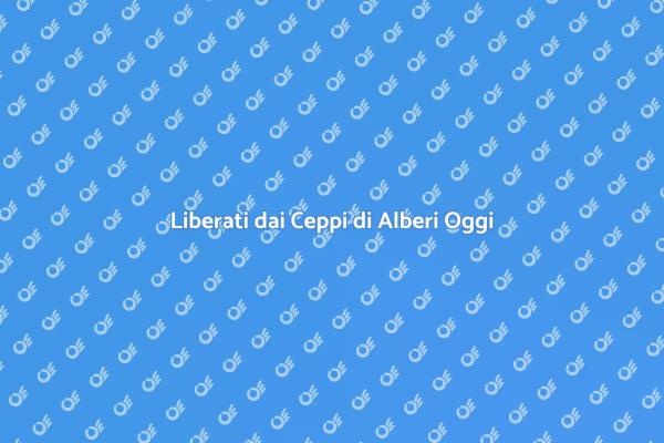 Rimozione Professionale dei Ceppi di Alberi