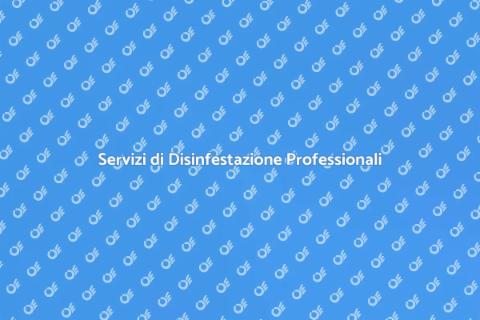 Disinfestazione Insetti: Servizi Efficaci