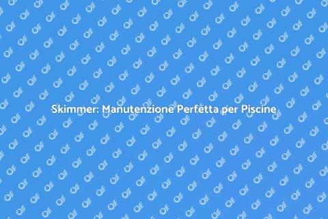 Manutenzione Skimmer Professionale