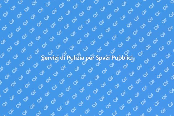 Pulizia Professionale per Shopping Efficace