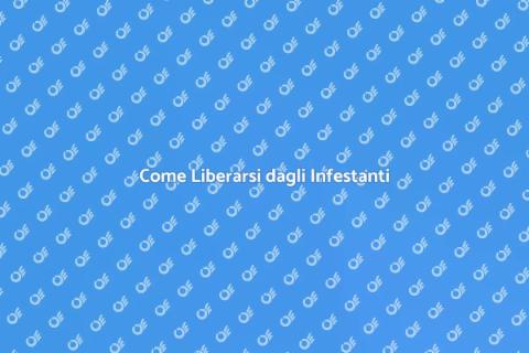Assumere un Disinfestatore: Ecco Come