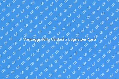 Caldaia a Legna: Riscaldamento Sostenibile