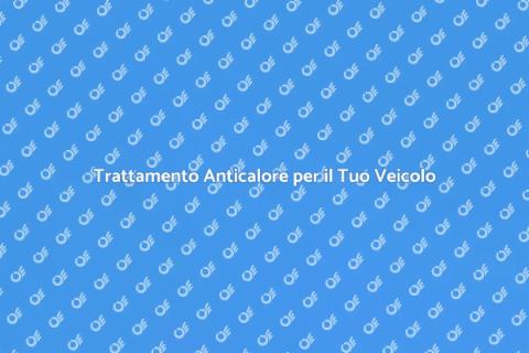 Pulizia Veicolo con Trattamento Anticalore