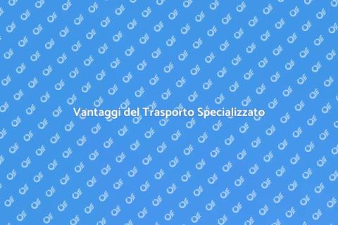 Trasporto Specializzato per Ogni Esigenza